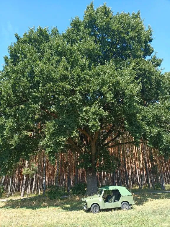 Trabant 601