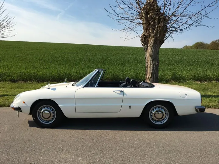 Alfa Romeo Spider