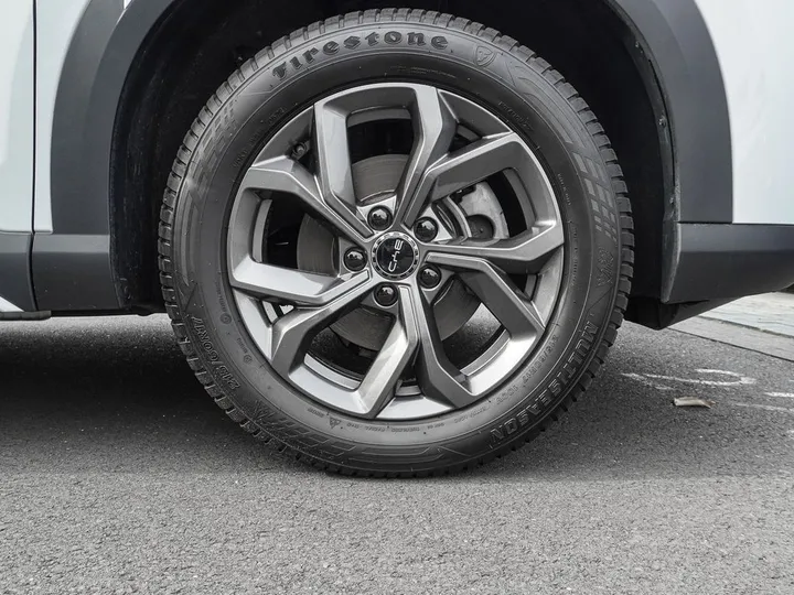 BYD ATTO 2