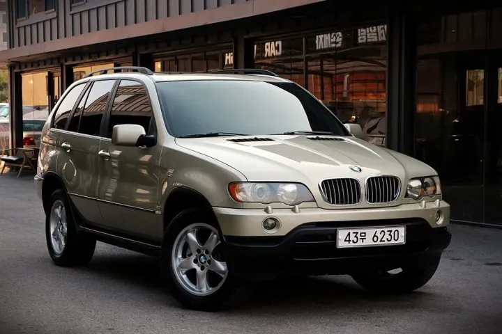 BMW X5