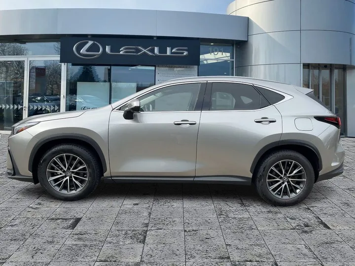 Lexus NX 350h