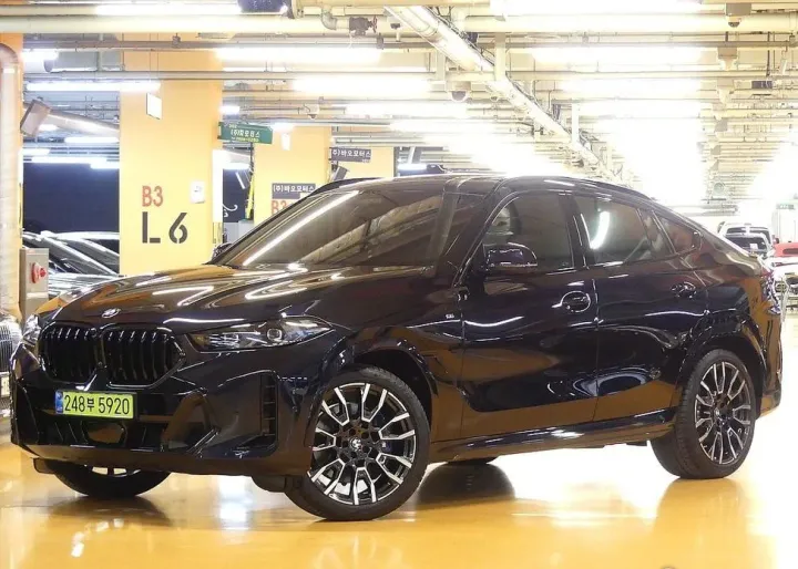 BMW X6