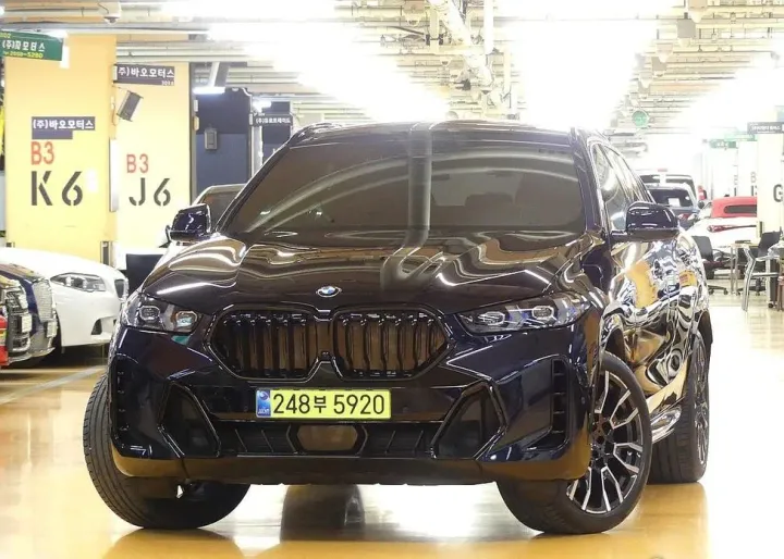 BMW X6