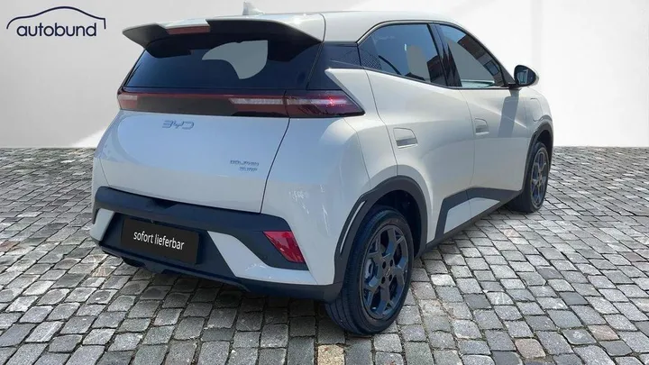 BYD DOLPHIN SURF