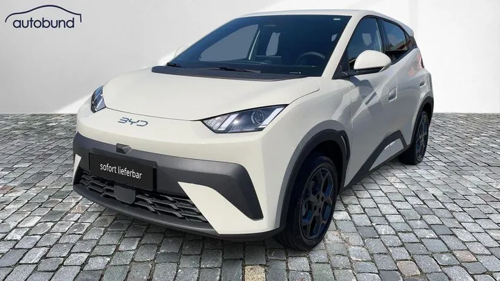 BYD DOLPHIN SURF