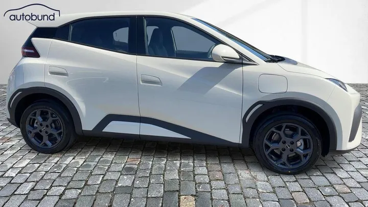 BYD DOLPHIN SURF
