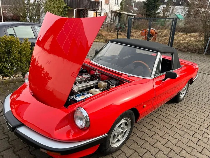 Alfa Romeo Spider