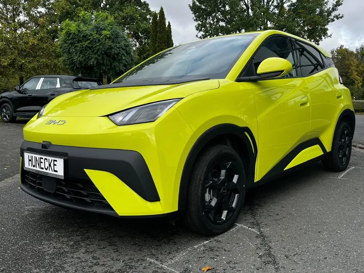 BYD DOLPHIN SURF