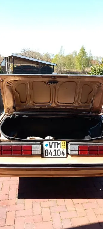 Dodge Other