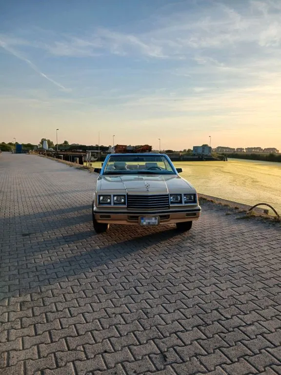 Dodge Other