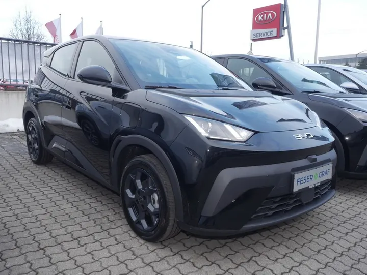 BYD DOLPHIN