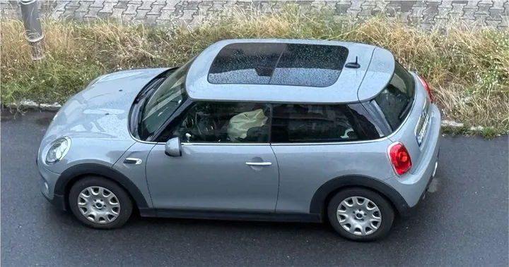 MINI Cooper D