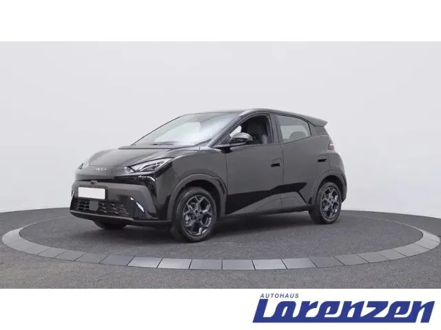 BYD DOLPHIN SURF