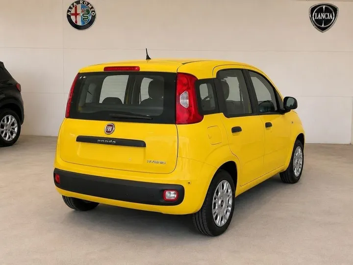 Fiat Other