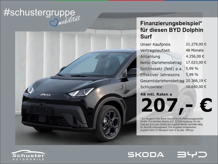BYD DOLPHIN SURF