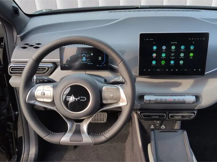 BYD DOLPHIN SURF