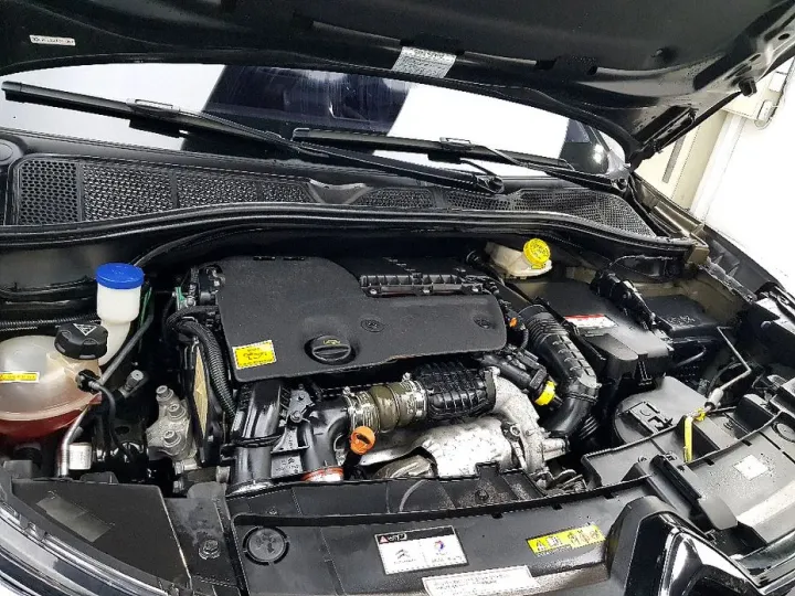 Citroen-DS C4 CACTUS