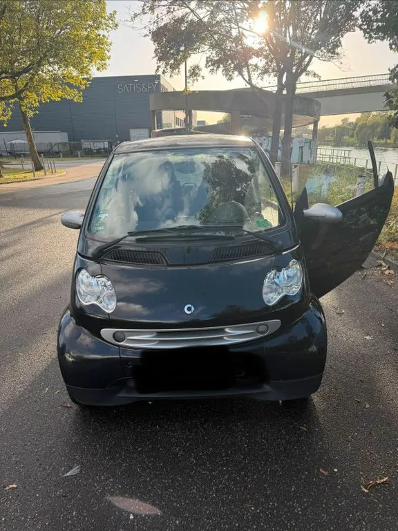 Smart Other