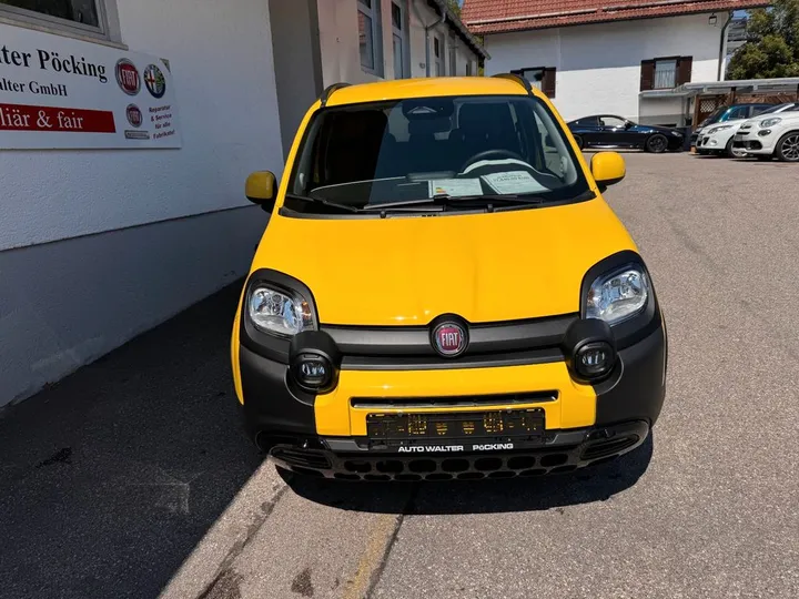Fiat Other