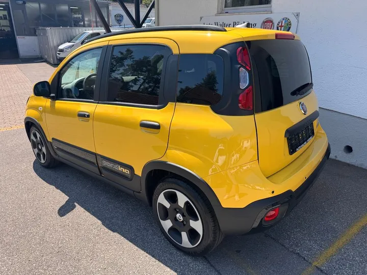 Fiat Other