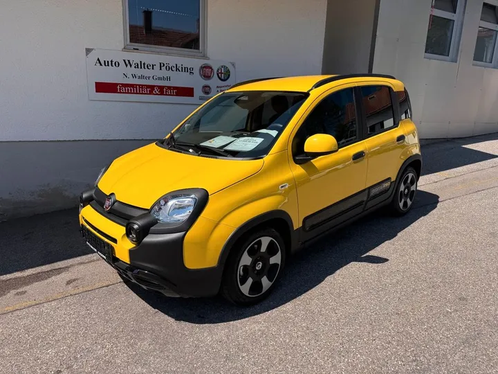Fiat Other