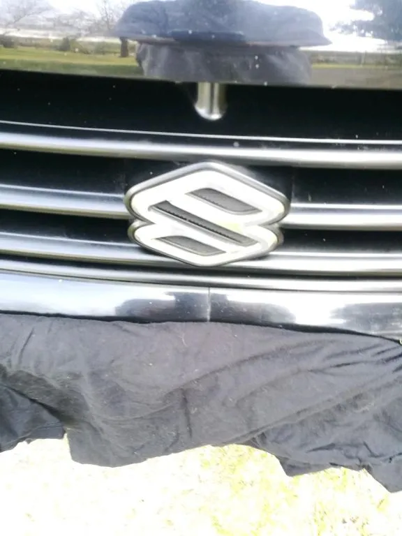 Suzuki Other