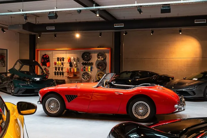 Austin Healey Other