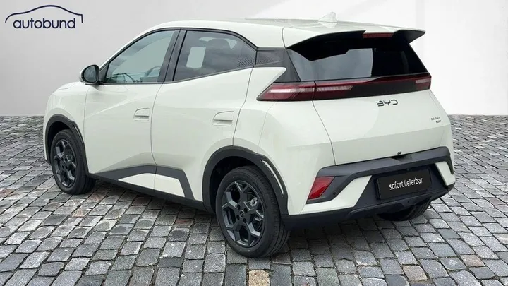 BYD DOLPHIN SURF