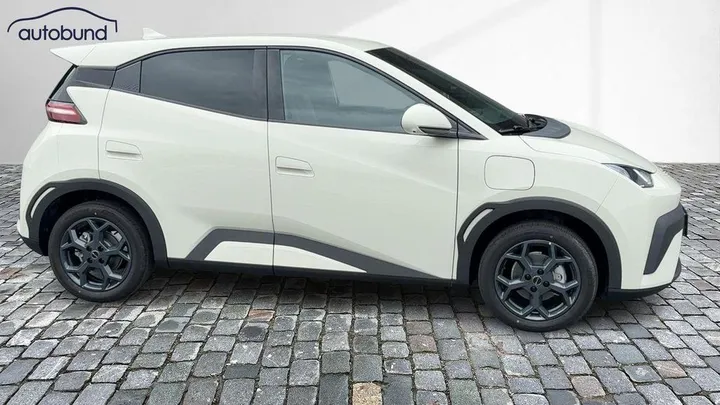 BYD DOLPHIN SURF