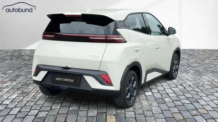 BYD DOLPHIN SURF