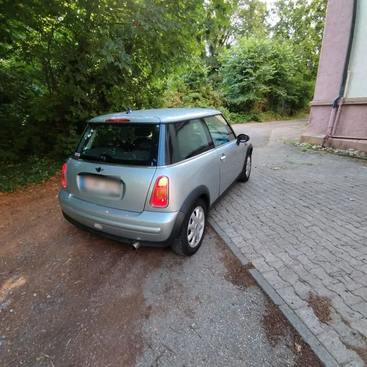 MINI ONE