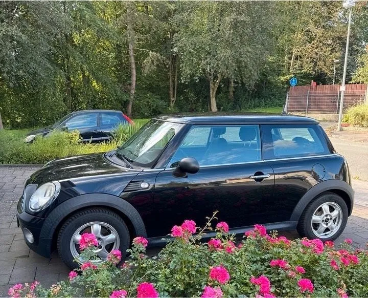 MINI ONE