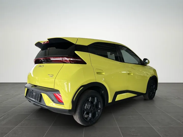 BYD DOLPHIN SURF