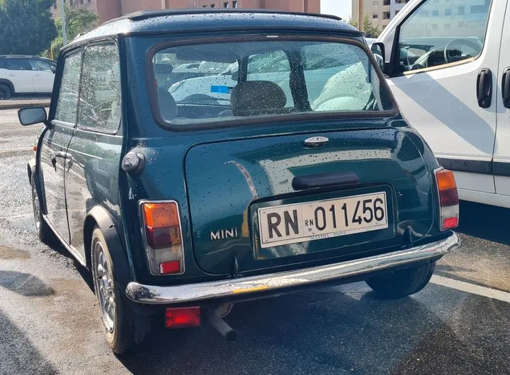 Rover Other