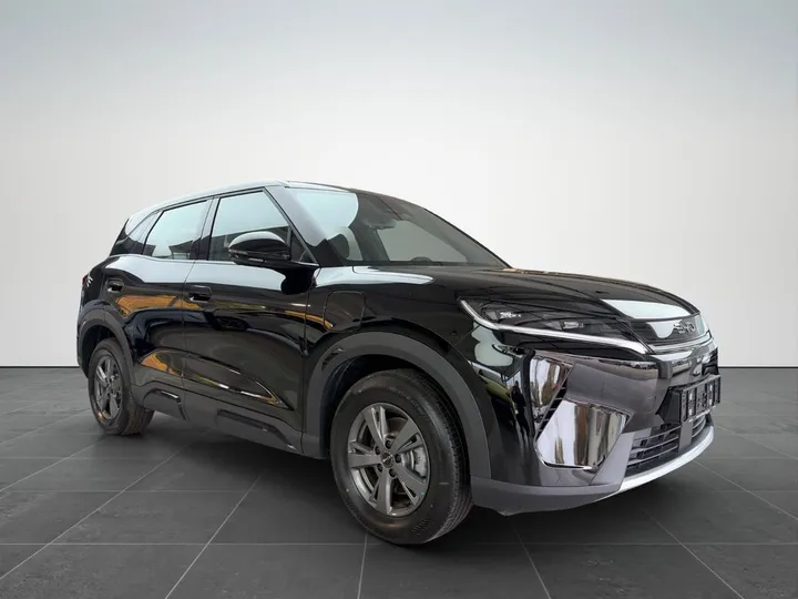 BYD ATTO 2