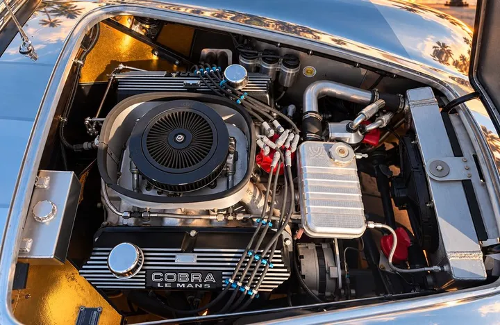Cobra Other