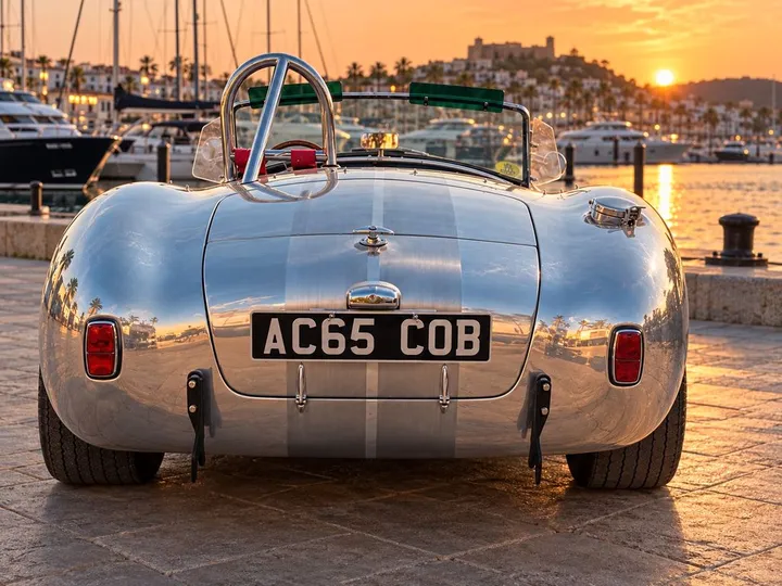 Cobra Other