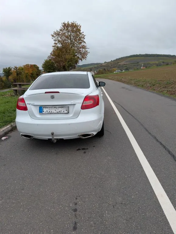 Suzuki Kizashi
