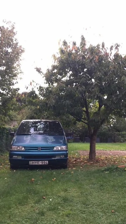Peugeot 806