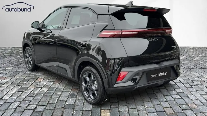 BYD DOLPHIN SURF