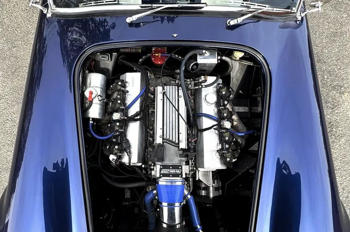 Cobra Other