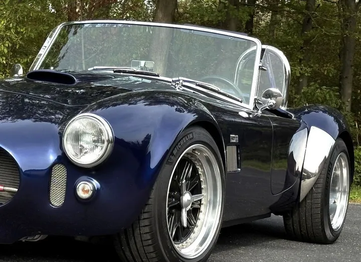 Cobra Other