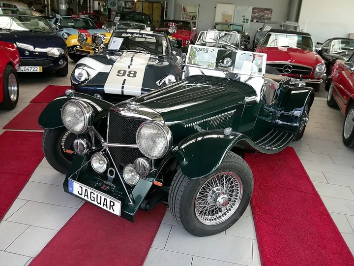 Jaguar Other