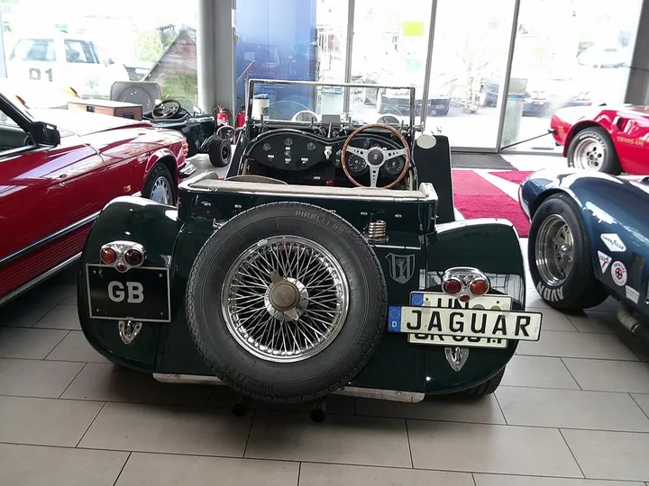 Jaguar Other