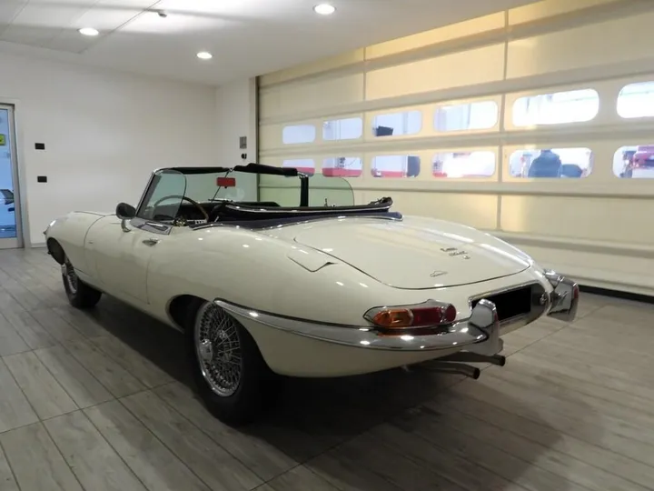 Jaguar Other
