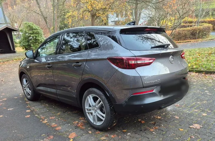 Opel Other