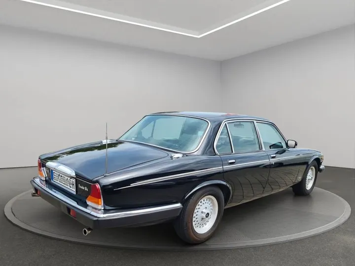 Jaguar Other