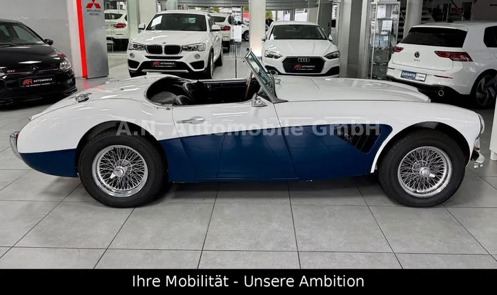 Austin Healey Other