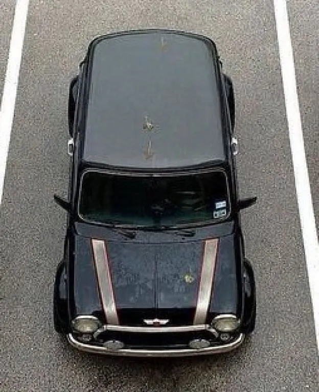 Rover Other