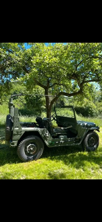 Ford Other